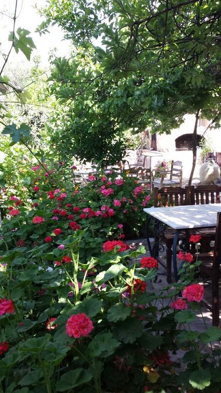 Hoppala Pension Датча Экстерьер фото